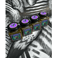 STEEZ007_1.png